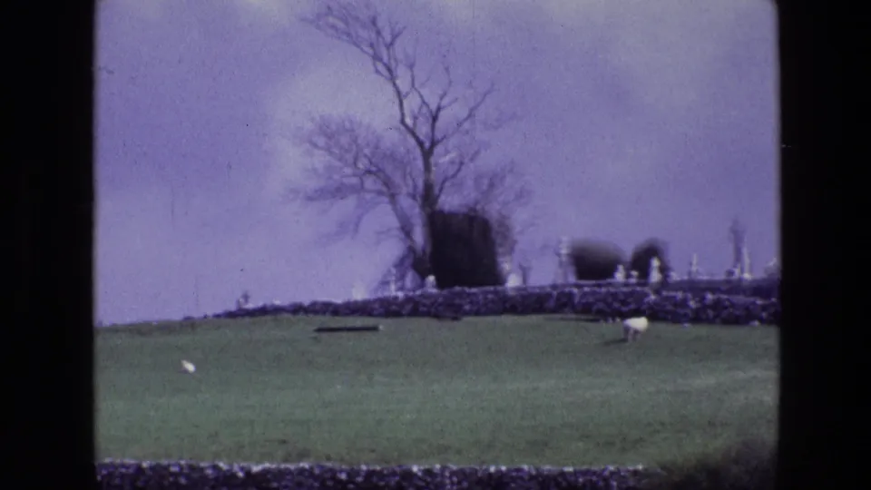 The camera view shifts along the hill, showing the cemetery ridge, bare tree, stone wall, and sheep on the open grass.