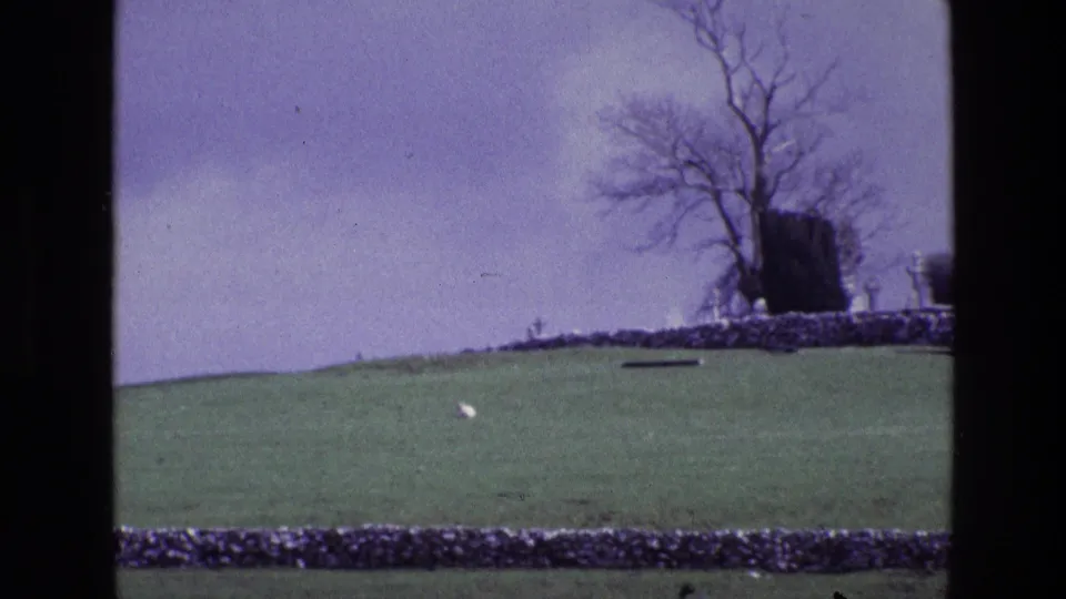 A soft 8mm view of rural Ireland shows an open hillside, low stone walls, cemetery markers, and a leafless tree under cloud.