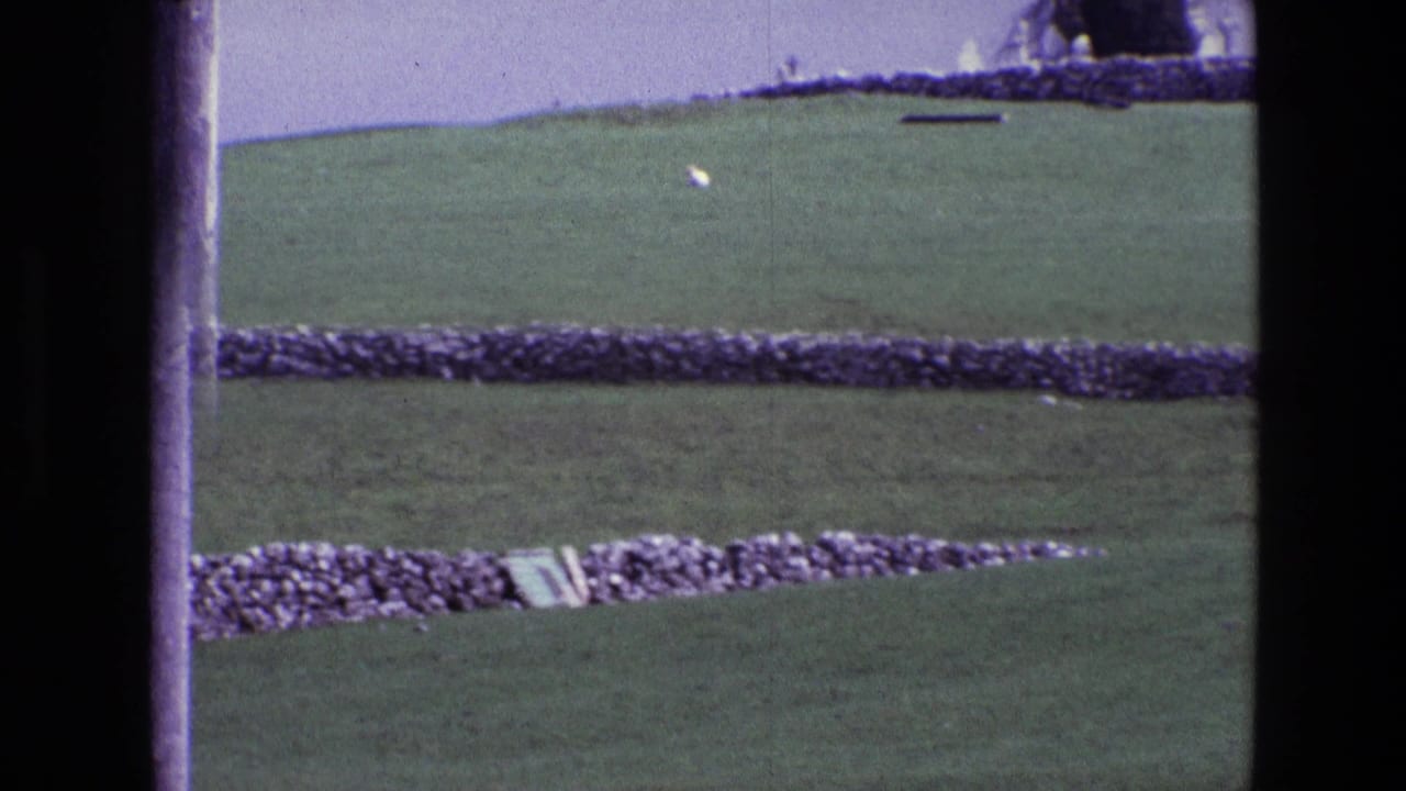 1969 Ireland countryside frame with rolling grass, dry stone walls, a distant white sheep, and saturated 8mm color.