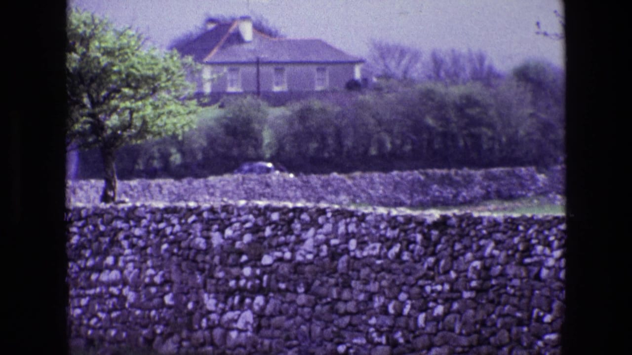 1969 Ireland countryside view with a house set beyond hedges and trees, framed by a foreground dry-stone wall.
