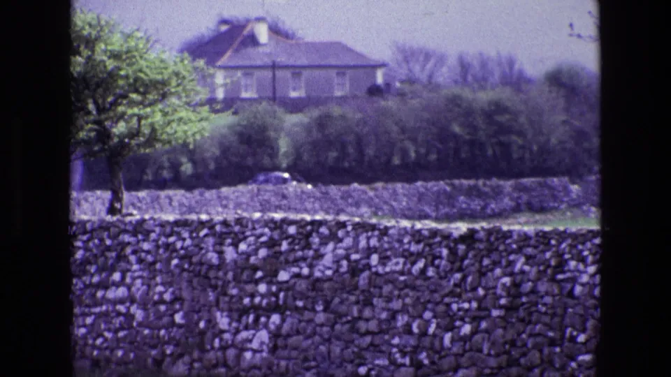 1969 Ireland countryside view with a house set beyond hedges and trees, framed by a foreground dry-stone wall.