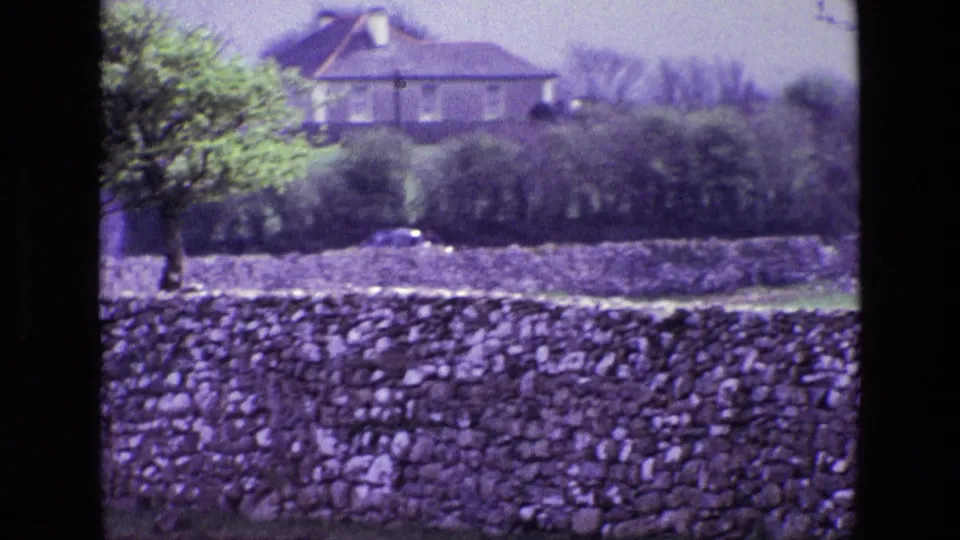Soft 8mm frame of an Irish rural house partly screened by hedges, with stone walling and a leafy tree in view.