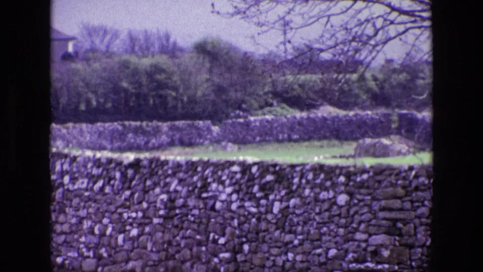 1969 Ireland rural landscape showing dry-stone walls, green grass, hedges, tree branches, and a partial distant house.