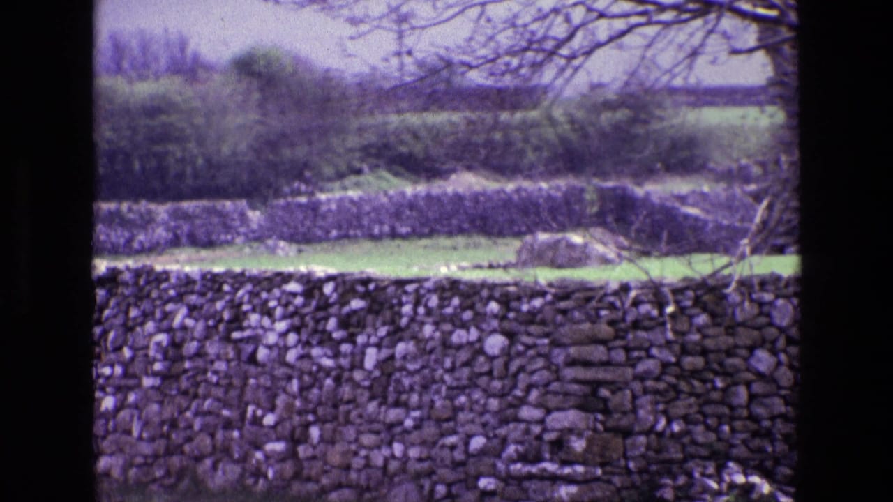 1969 Ireland 8mm frame showing a dry-stone wall across green countryside with hedgerows and bare tree branches.