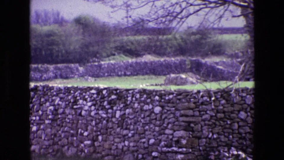 1969 Ireland 8mm frame showing a dry-stone wall across green countryside with hedgerows and bare tree branches.