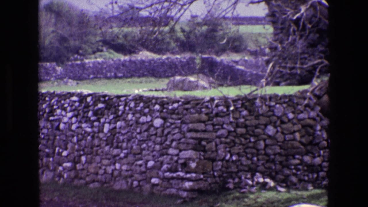 1969 Ireland countryside view with stacked dry-stone walls, grass fields, hedges, and overhanging branches on 8mm film.