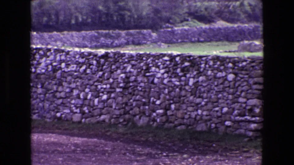 1969 Ireland 8mm still of a dry-stone wall, field strips, hedgerows, and distant trees in soft purple-tinted film color.