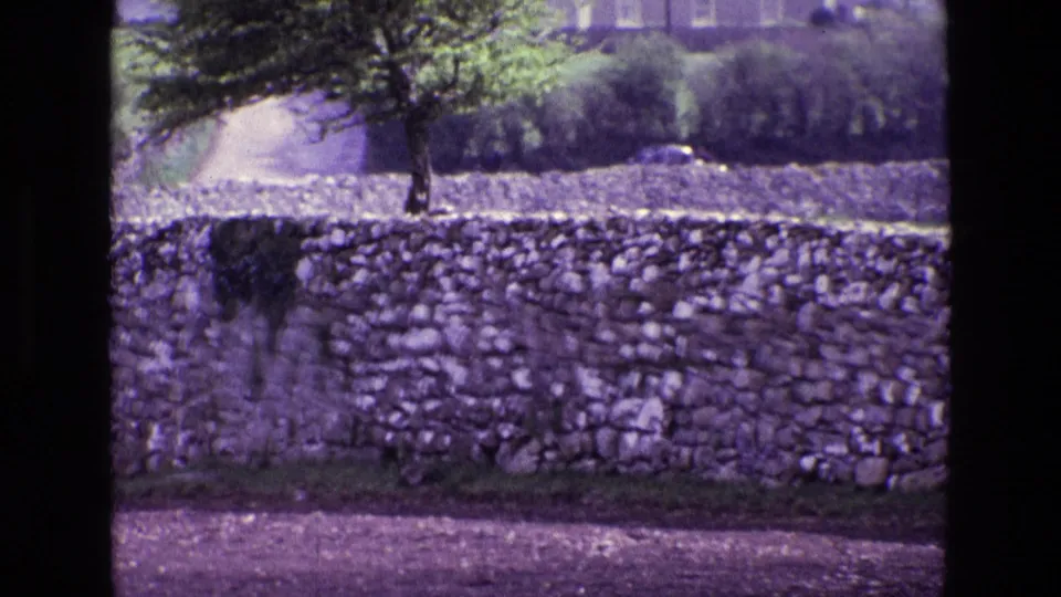 1969 Ireland home-movie frame showing a dry-stone wall, lone evergreen, green field, and distant rural building.
