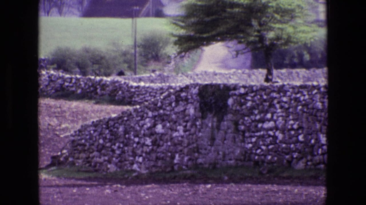 Stone wall curves across a rural field with trees and a distant building.