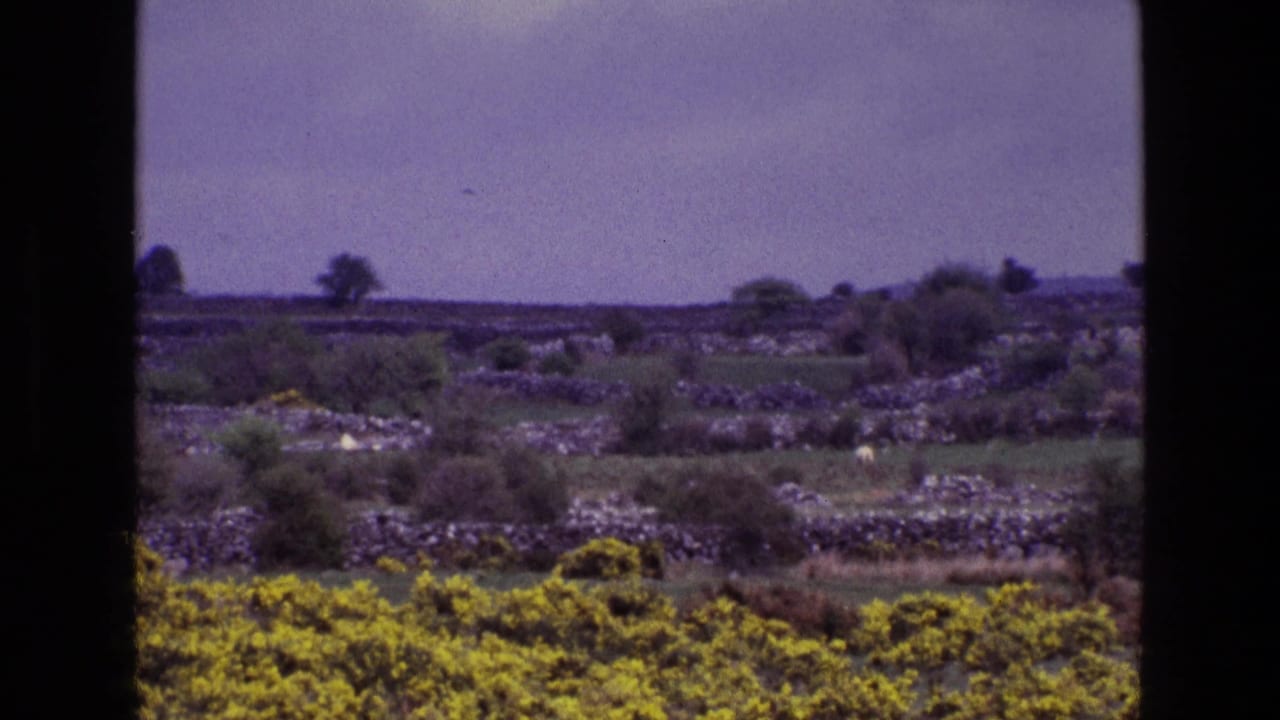 Irish countryside landscape with stone walls, low fields, shrubs, and yellow gorse in a 1969 8mm frame.