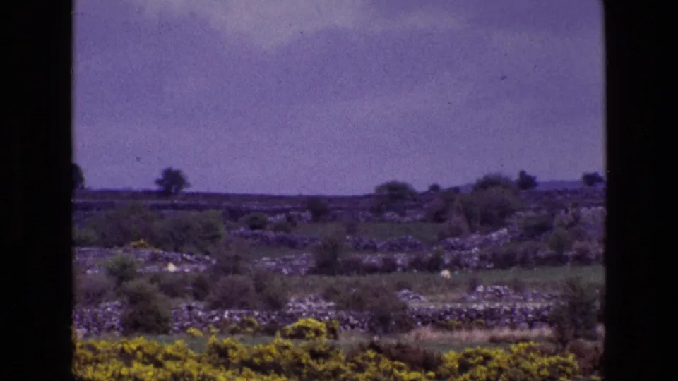 1969 Irish rural view with gorse, layered stone walls, shrubs, and distant trees under a purple-tinged sky.