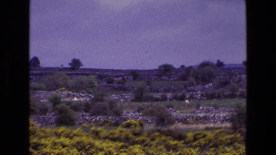 Late-1960s Irish 8mm landscape showing gorse, stone field walls, shrubs, and scattered trees across open countryside.