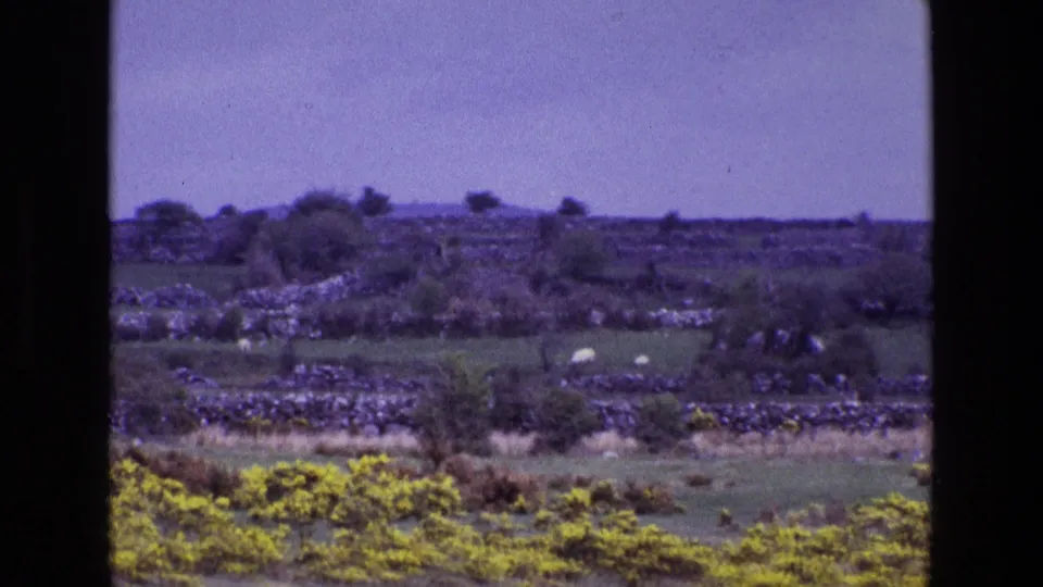 The 1969 Ireland landscape continues with green pasture, dry-stone walls, yellow gorse, distant sheep, scattered shrubs, and aged-film color shift.