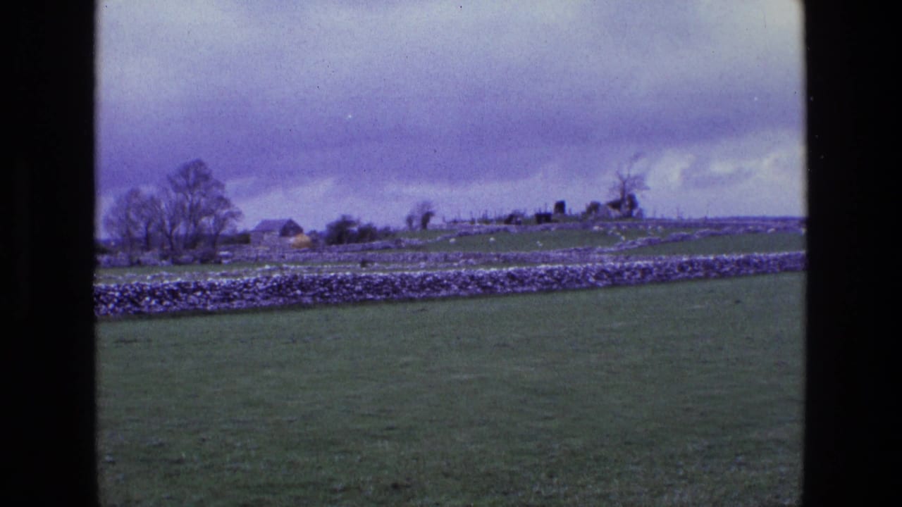 Green pasture with stone walls, distant trees, small buildings, and an overcast sky.