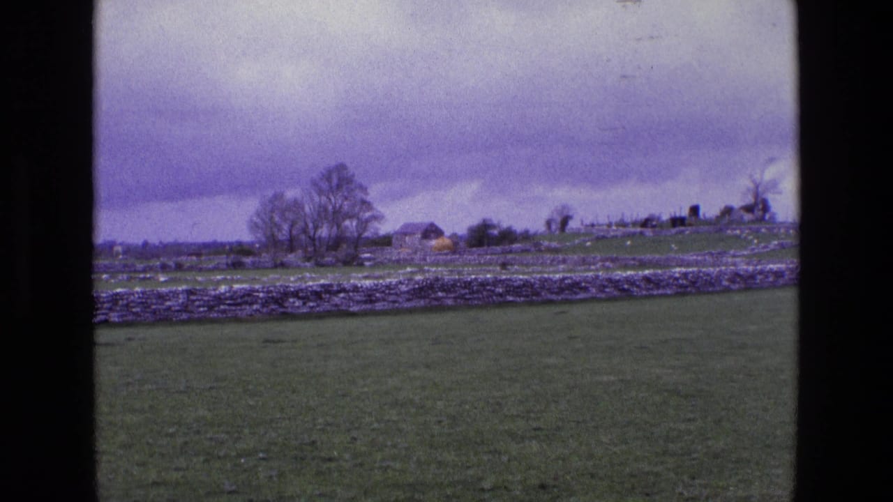 Green Irish field with dry-stone wall, bare trees, distant farm buildings, and purple-gray sky.