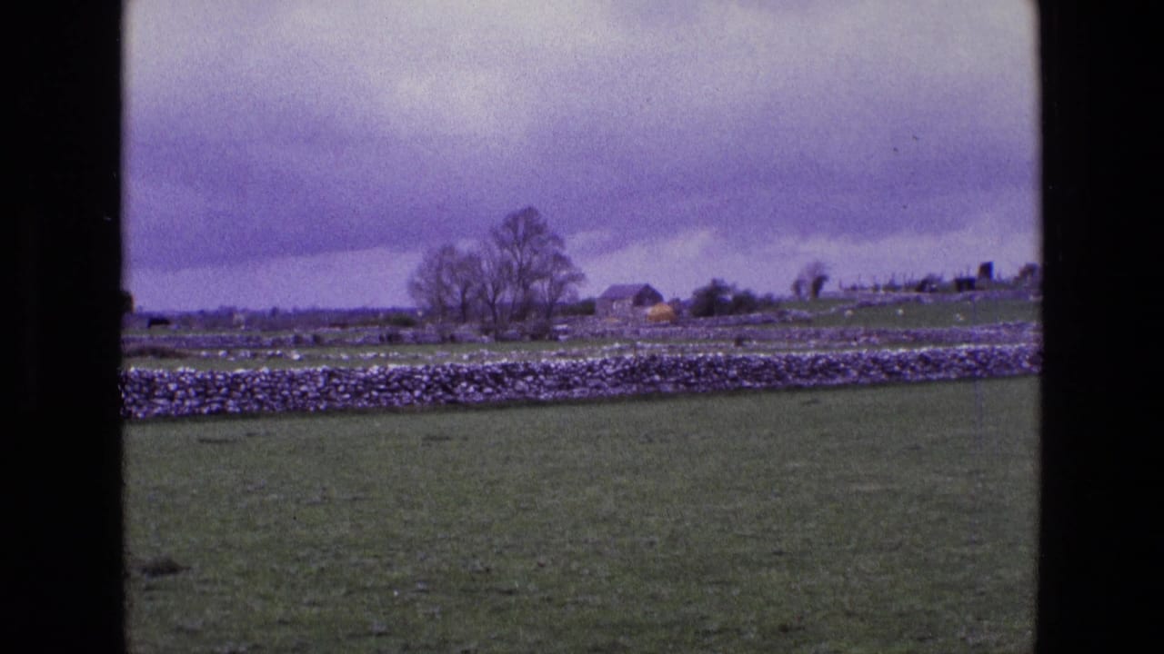 Rural Ireland landscape from 1969 8mm film, showing pasture, stone boundary wall, a bare tree, distant buildings, and overcast purple sky.