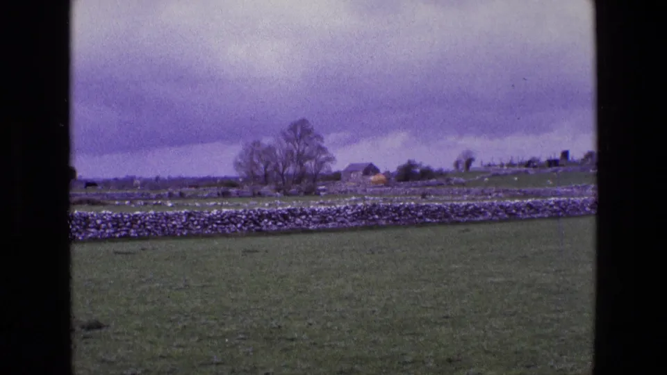Rural Ireland landscape from 1969 8mm film, showing pasture, stone boundary wall, a bare tree, distant buildings, and overcast purple sky.