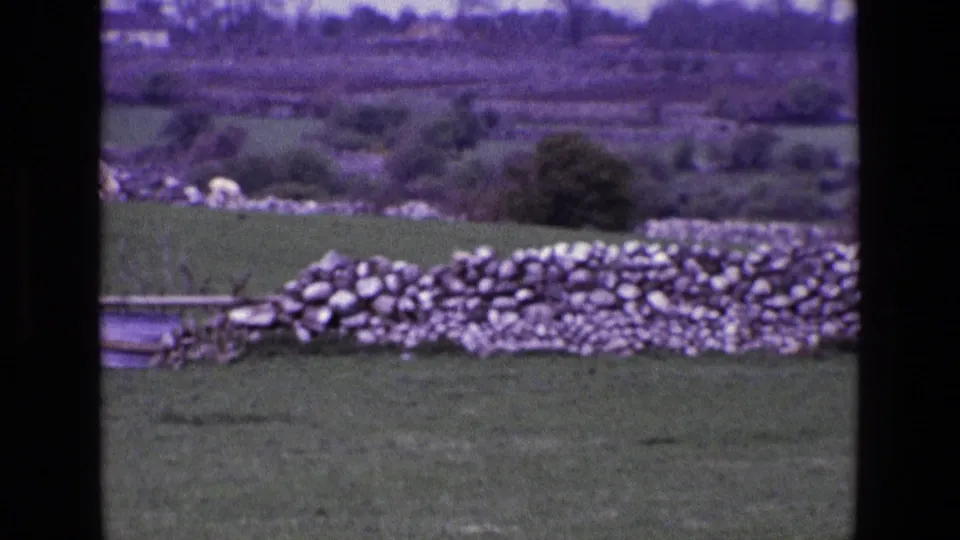 Closer 1969 8mm countryside view in Ireland, with a dry-stone wall crossing a green field and soft hedgerows beyond.