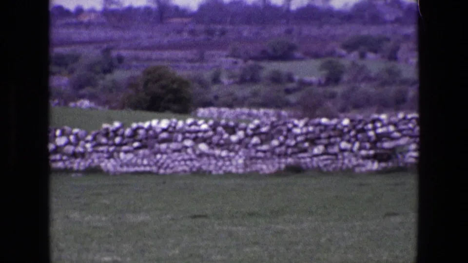 1969 rural Ireland 8mm frame showing a stone wall, pasture, blurred hedgerows, and distant hillside with visible film softness.