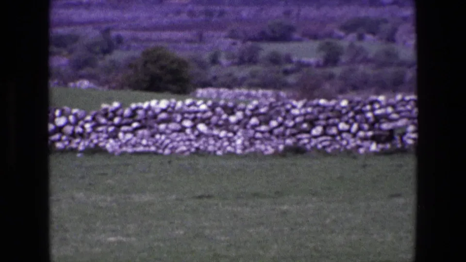 1969 Ireland 8mm frame showing a dry-stone wall across grass, with rolling fields and trees beyond.
