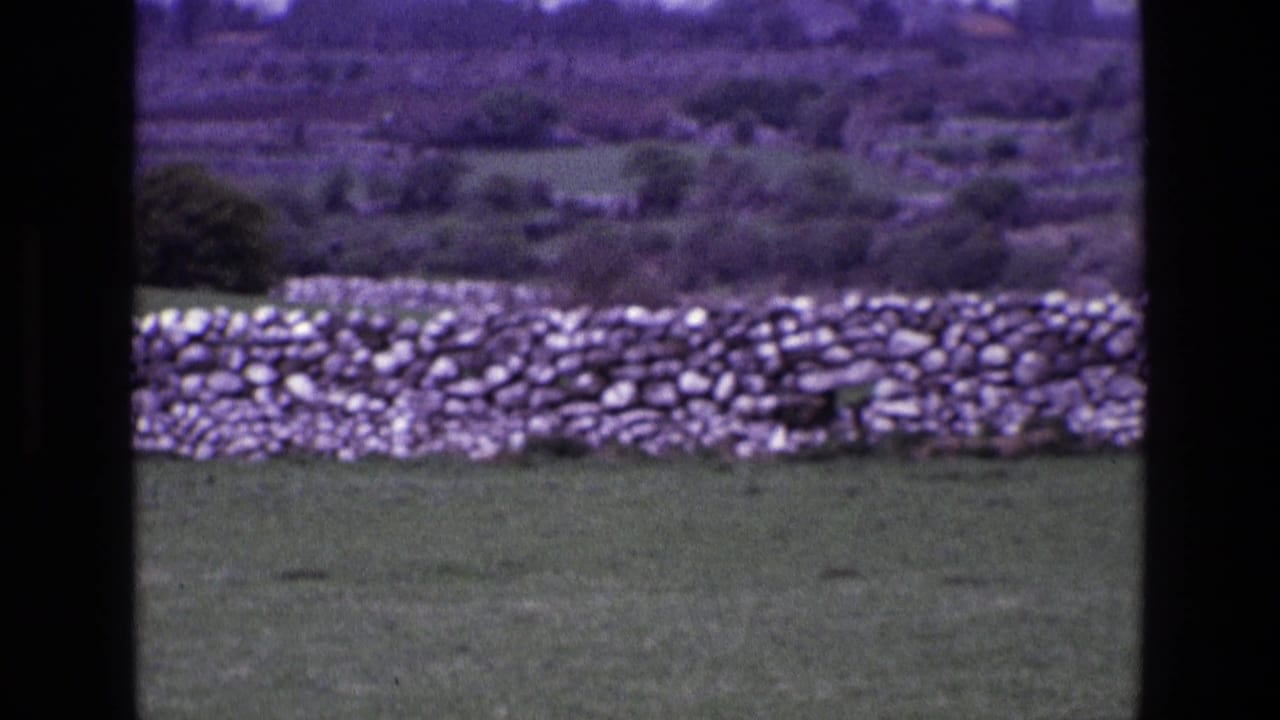 Stone wall and green field seen through dark vertical film-frame borders.