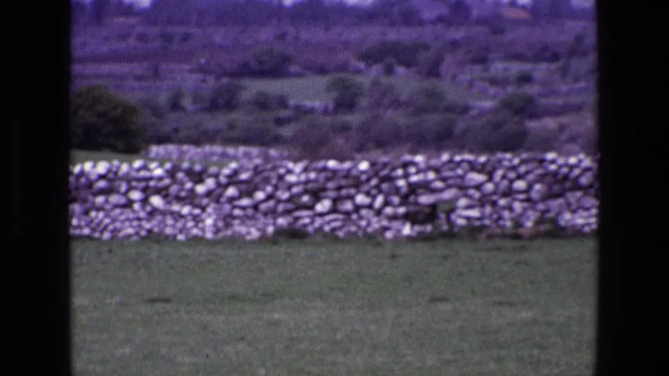 A steady 8mm view of an Irish rural stone wall, grassy foreground, and soft hillside background.