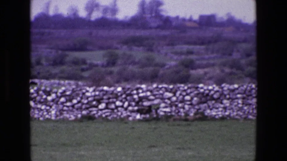 1969 Ireland home-movie frame with a dry-stone wall, open grass, and softened trees on a hillside.