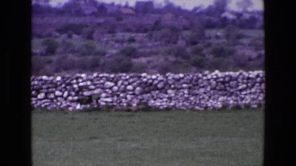 Late-1960s Irish countryside frame showing a low dry-stone wall, open field, trees, and muted hills.