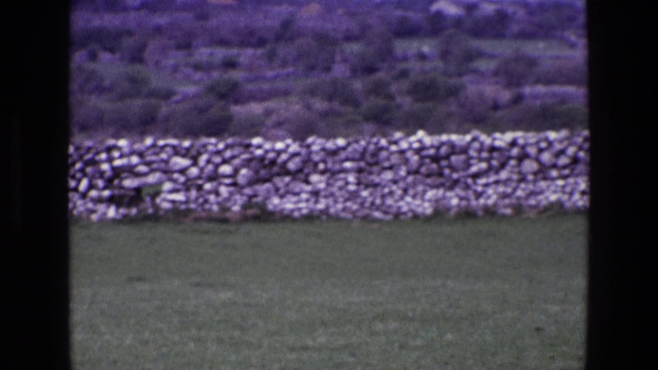 1969 Ireland 8mm view of a green rural field behind a long dry-stone wall under a cloudy sky.