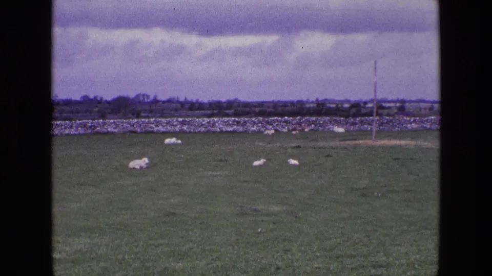 1969 Ireland 8mm frame showing sheep in a green field, a stone wall, cloudy sky, and a slender utility pole.