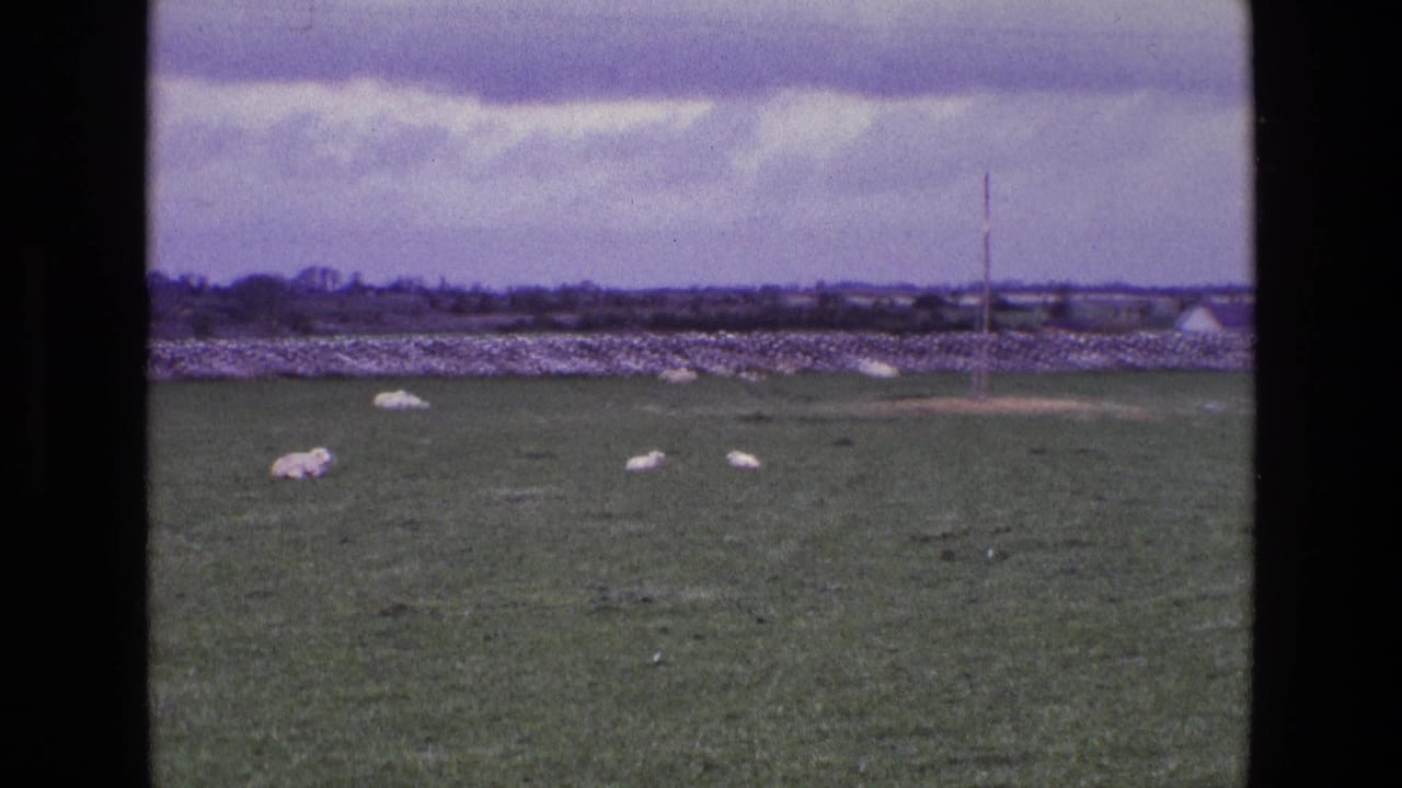 1969 Ireland 8mm frame showing sheep scattered across pasture, a low dry-stone wall, distant farm structures, and an overcast sky.
