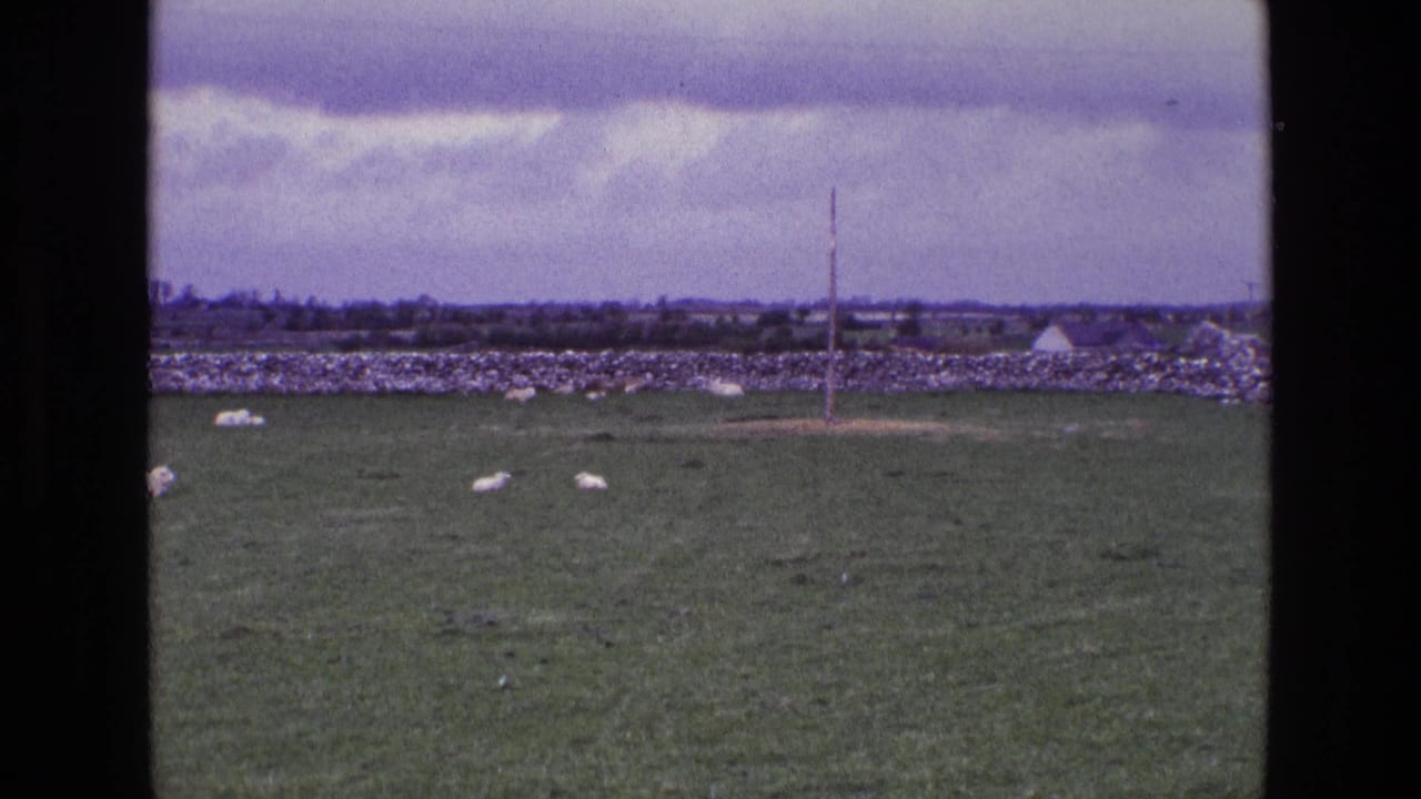 1969 Ireland home-movie frame with sheep grazing in open pasture near a dry-stone wall, distant rooftops, and a moody sky.