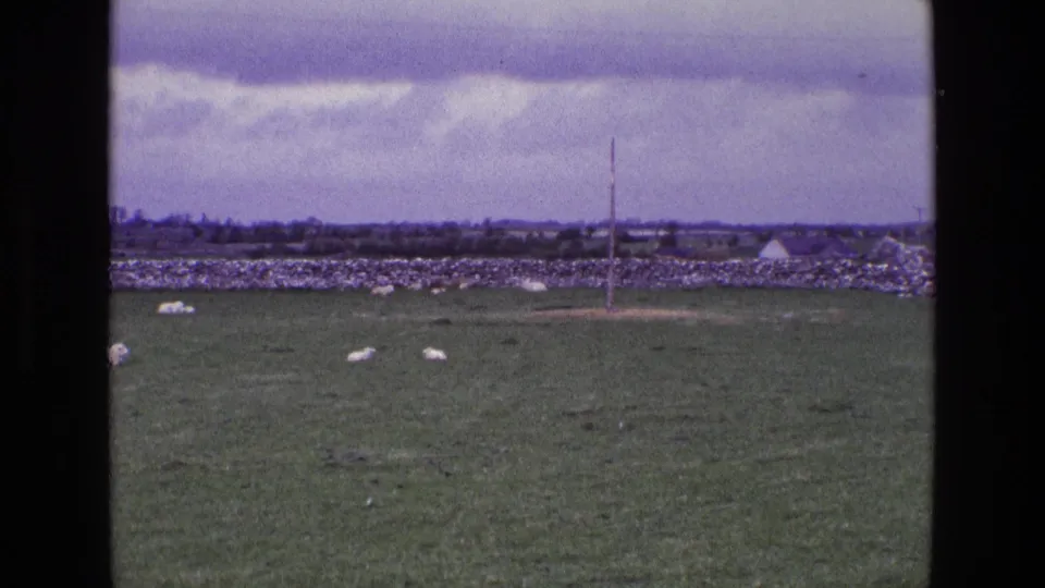1969 Ireland home-movie frame with sheep grazing in open pasture near a dry-stone wall, distant rooftops, and a moody sky.