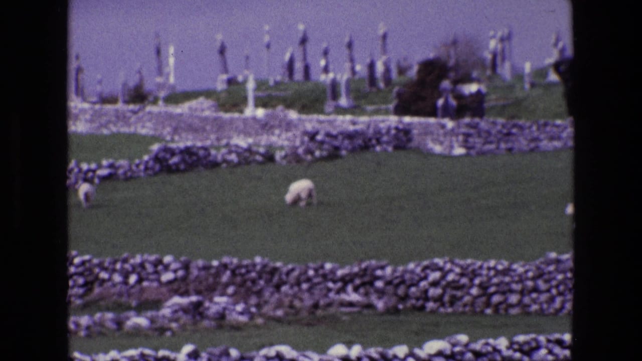 1969 Ireland home-movie frame showing sheep grazing between dry-stone walls below white grave markers on a hill.
