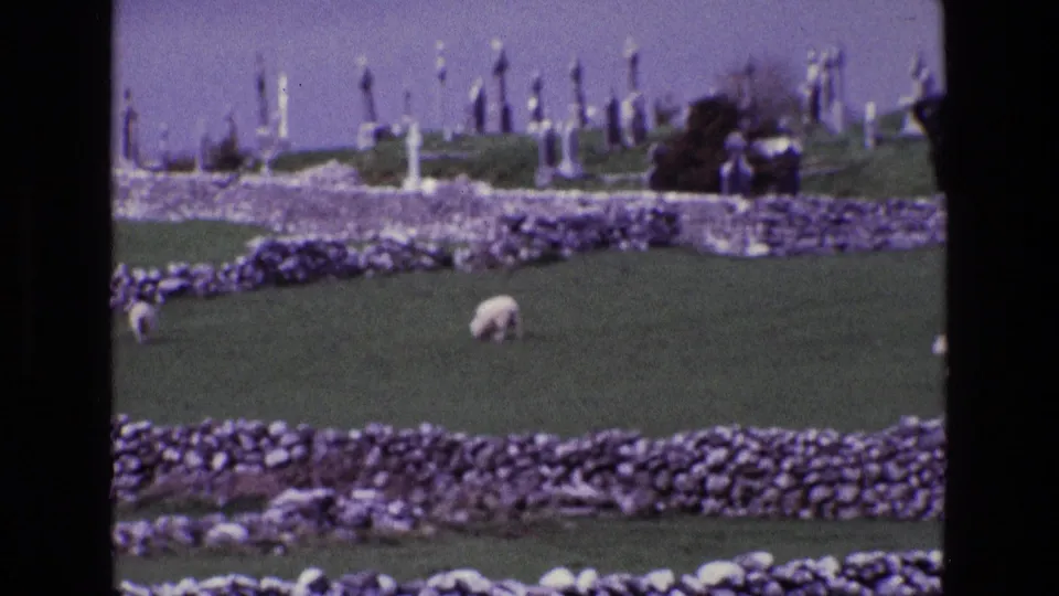 1969 Ireland home-movie frame showing sheep grazing between dry-stone walls below white grave markers on a hill.