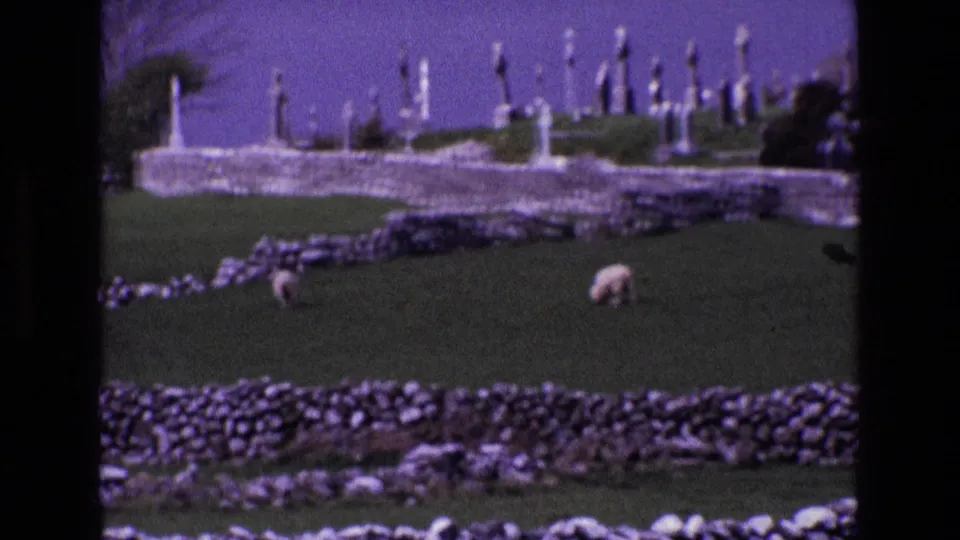 1960s 8mm view of sheep in an Irish field, with dry-stone walls and white grave markers visible on the slope beyond.