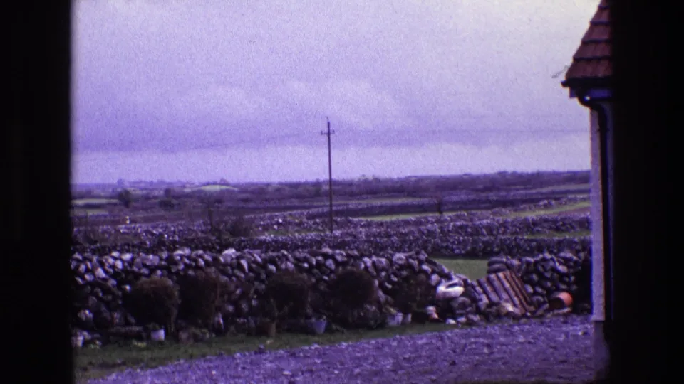 Irish countryside view with stone field walls, grazing sheep, a utility pole, distant fields, and the edge of a roofed building.