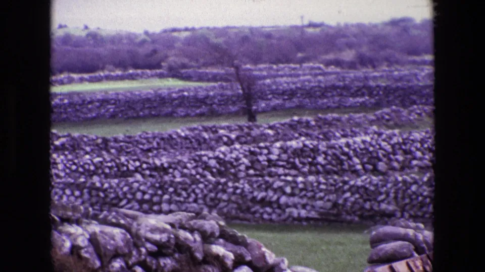 1969 Ireland countryside frame with dry-stone walls, green field strips, stone pile, and soft distant tree line.
