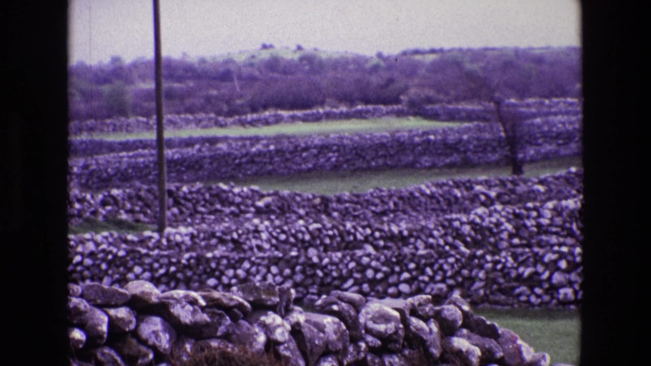 1969 8mm view of rural Ireland showing stacked stone walls, green field strips, distant hedgerows, and a utility pole with a purple film cast.