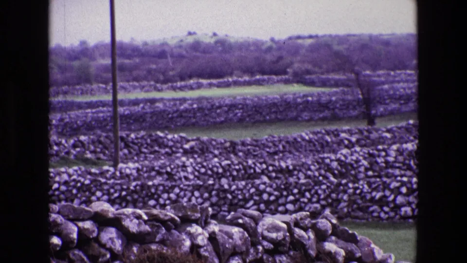 1969 8mm view of rural Ireland showing stacked stone walls, green field strips, distant hedgerows, and a utility pole with a purple film cast.