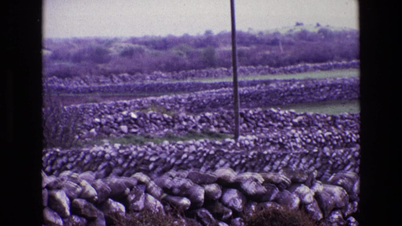 Rural Ireland landscape in 1969, with stacked stone walls crossing pasture, a central utility pole, distant brush, and aged purple 8mm color.