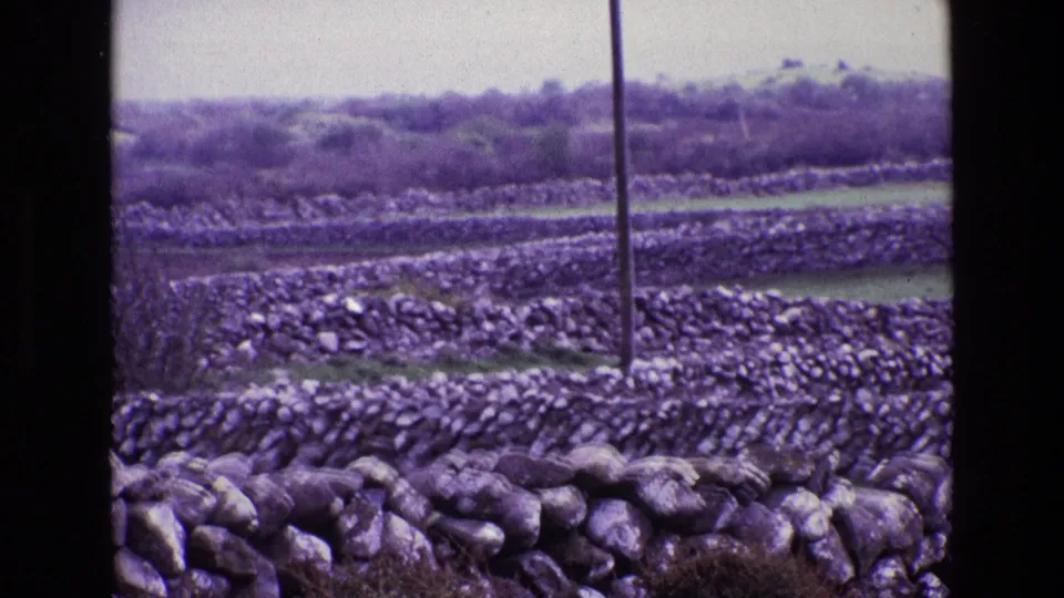 Rural Ireland landscape in 1969, with stacked stone walls crossing pasture, a central utility pole, distant brush, and aged purple 8mm color.