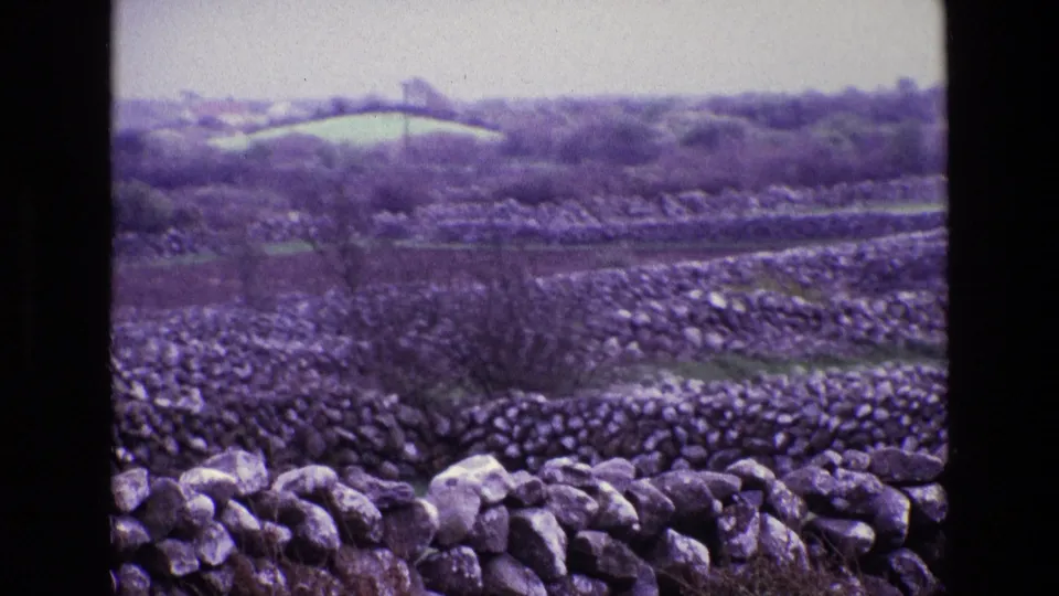 Handheld 8mm frame of Irish countryside, showing rolling fields, dry-stone boundaries, bare shrubs, and distant hedgerows under a washed sky.