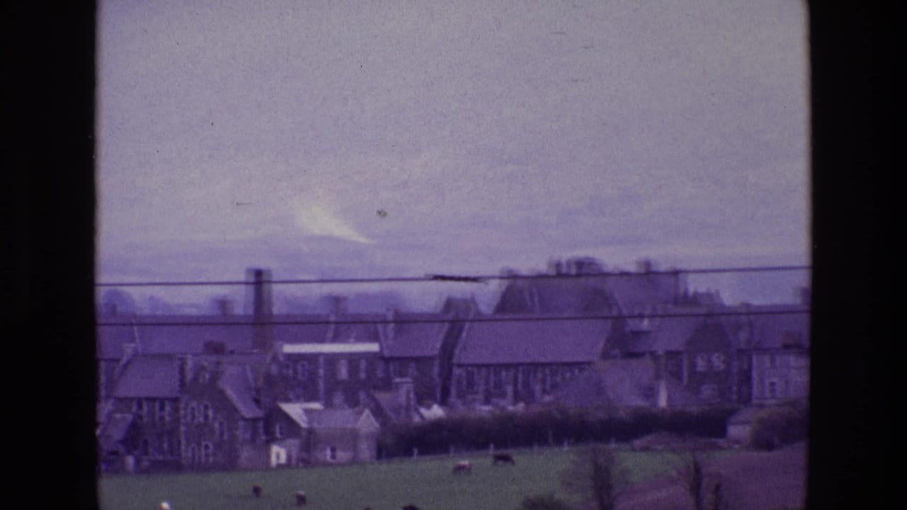 Distant stone town buildings behind a green field with cattle and overhead wires.