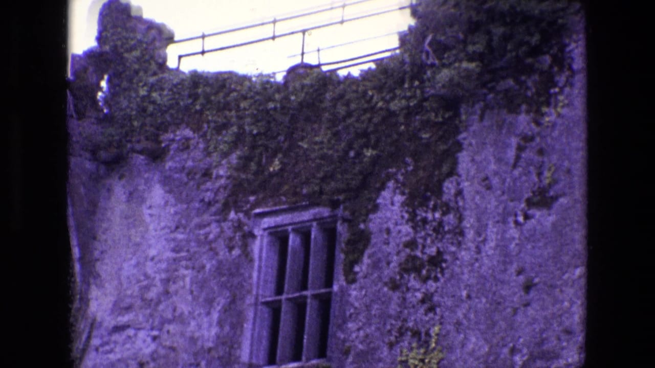 Closer view of ivy-covered stone wall with a barred window and roof railing.
