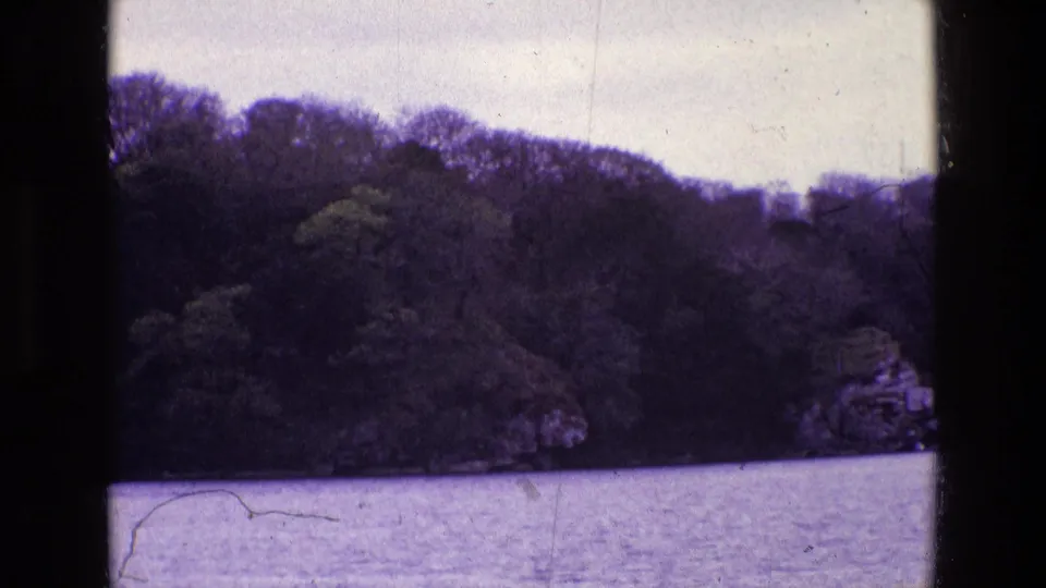 1969 Ireland 8mm frame showing a wooded shoreline above calm water, with soft focus and visible film grain.