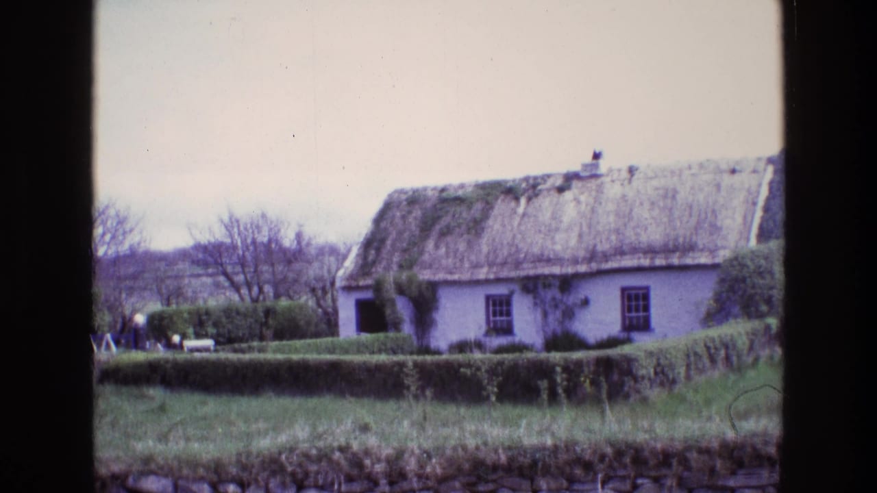 White thatched cottage behind hedges and a stone wall in a rural field.