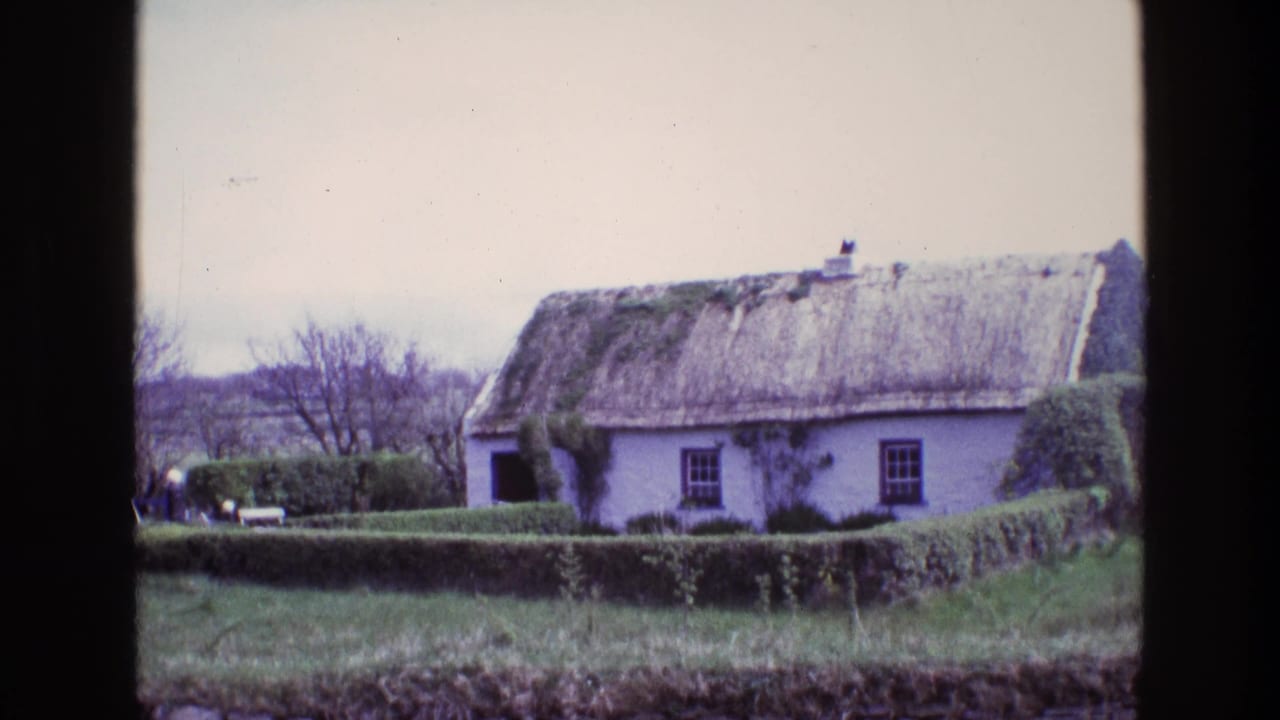 White thatched cottage behind hedges and a low stone wall in a green rural garden.