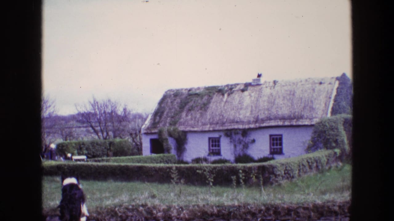 Black-and-white sheepdog entering the grassy foreground near a thatched cottage garden.