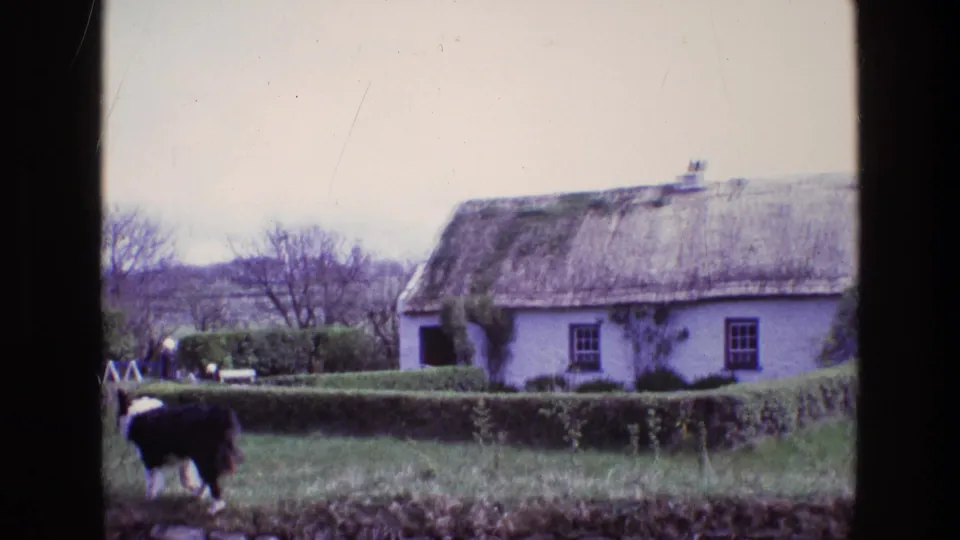 1969 Ireland 8mm frame showing a sheepdog crossing the foreground before a hedged garden and white thatched cottage.